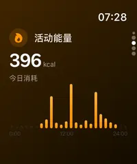 Apple Watch 活动能量追踪界面